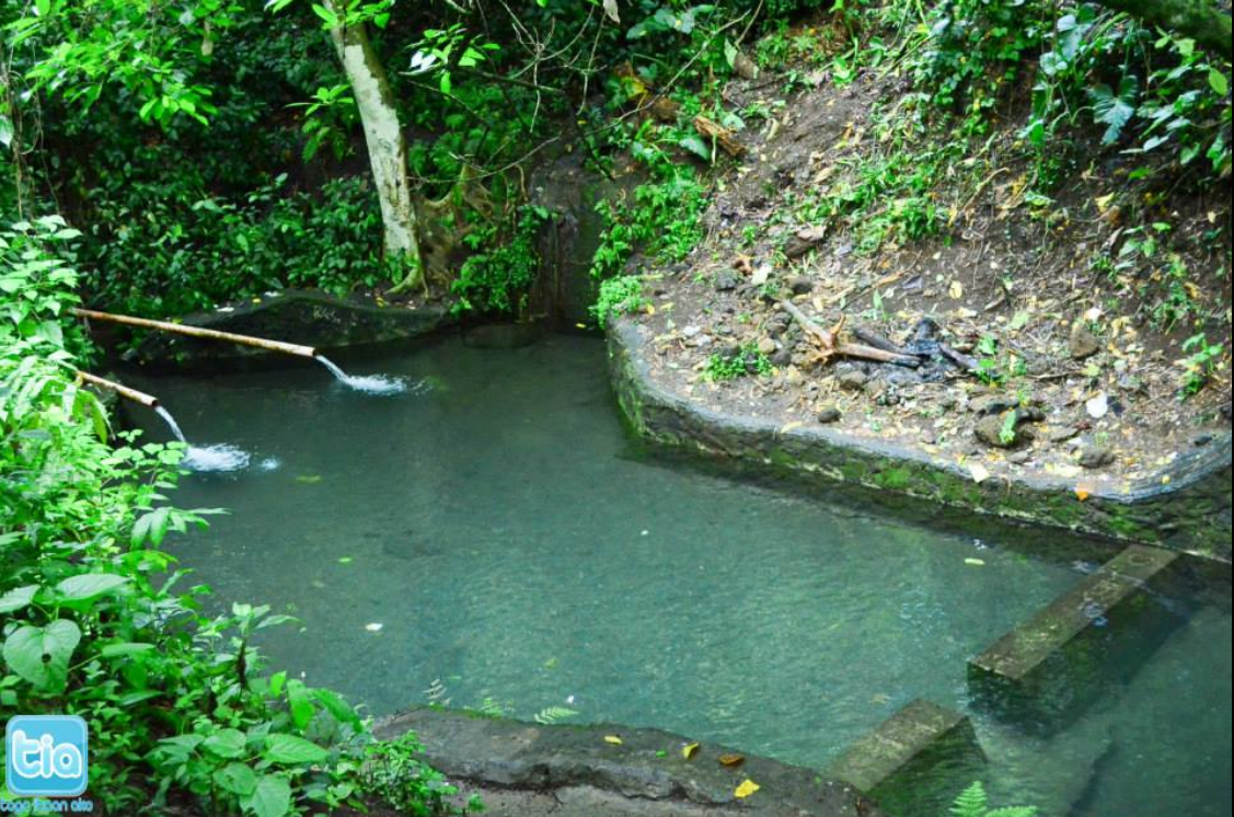 HIMAMAWO SPRING